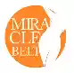 miraclebelt.com.br